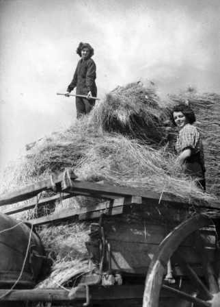 WOMEN'S LAND ARMY AT WORK