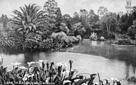 Botanic Gardens 1908